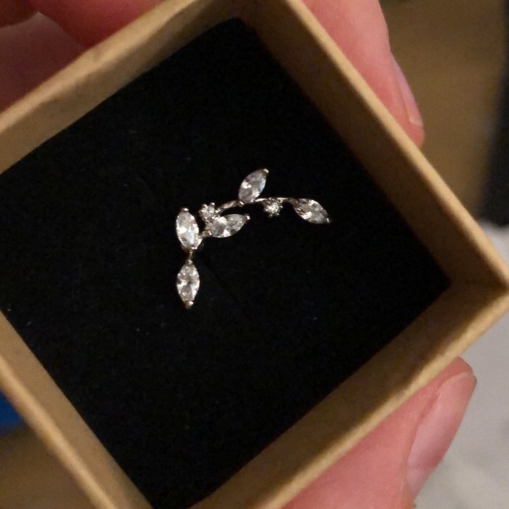 Beautiful Earring Never Worn